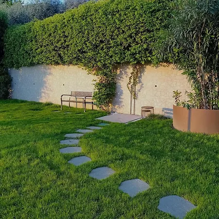 Sg Luxury - Cleo لاتيزي