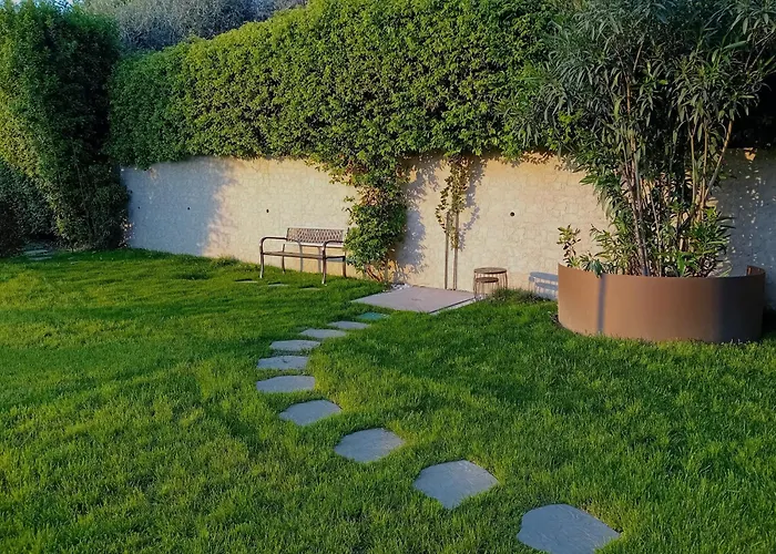 Sg Luxury - Cleo لاتيزي