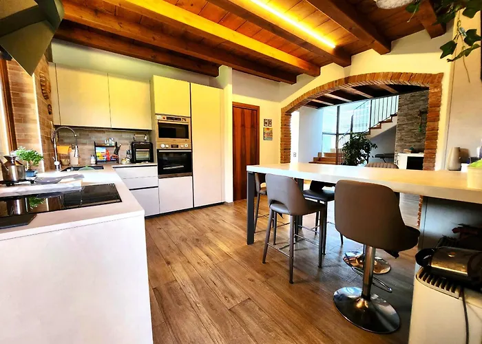 Sg Luxury - Cleo لاتيزي