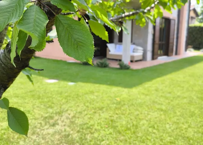 Sg Luxury - Cleo لاتيزي