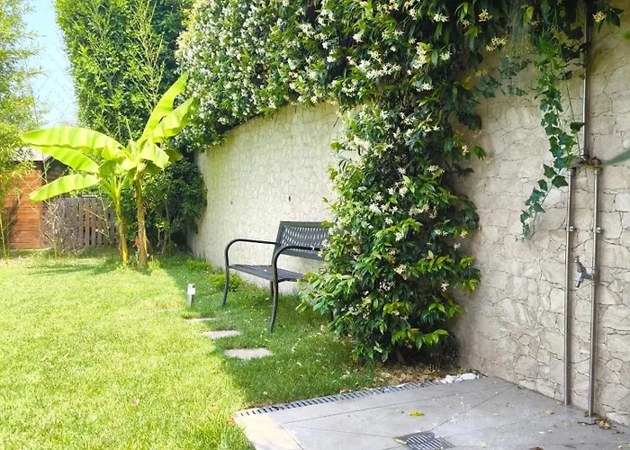 Sg Luxury - Cleo لاتيزي